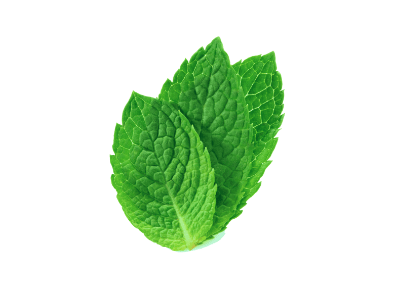 Peppermint