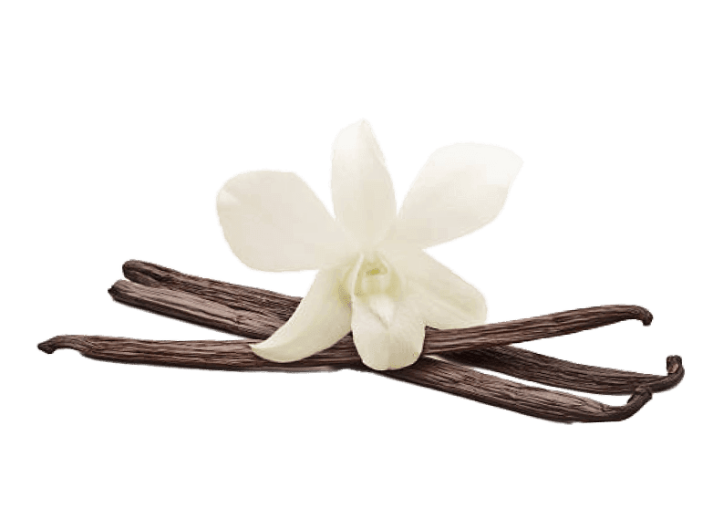 Vanilla